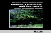 Mosses, Liveworths