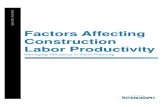 Factors Affecting Labour Productivity
