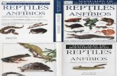 Animales - Manual de Identificacion de Reptiles y Anfibios.pdf