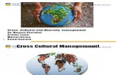 Cross Cultural and Diversity Management