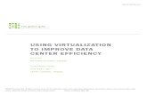 White Paper 19 - Using Virtualization to Improve Data Center Efficiency