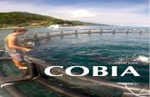 EXPERT TOPIC 1503: Cobia
