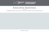 Executive Summary Final Supplemental Generic Environmental Impact Statement