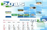 2015 Bir Tax Calendar