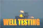 Petroleum Development Geology IV Well Test Norestriction