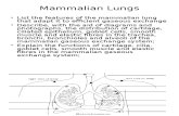 As 1 2 1 Mammalian Lungs