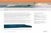Tools to Protect and Enhance Surf Amenity - DHI Solution