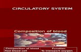 Intervensi Circulatory System