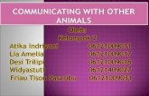 Kel. 2 Communication With Other Animal