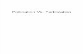 Pollination vs Fertilization