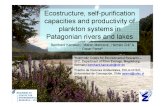 Ecostructure, Self-purification..... of Plankton Systems in Patagonian Rivers and Lakes