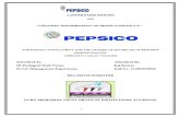 pepsico summer training report (1).doc