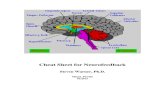 Sts Cheat Sheet of the Brain