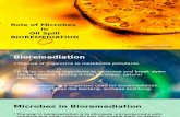 Role of Microbes in Bioremediation