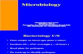 Mikrobiologi Dasar ( Dr. Latre Buntaran,Spmk )