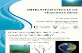 Mitigation Effect of Seagrass: Global Warming