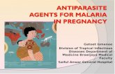 Antiparasite Agents for Malaria in Pregnancy, By Dr. Gatoet