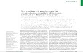 Spreading of pathology in neurodegenerative diseases: a focus on human studies