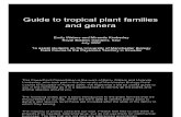 Guide to Tropical Plant Families and Genera