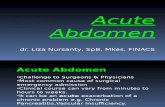 PPT Acute Abdomen, Nyeri akut abdomen