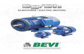 Bevi electric motors BSGSH.pdf
