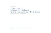 IGCSE Economics Notes With Syllabus Statments