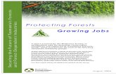 ProtectingForests GrowingJobs Fullreport 300804[1]