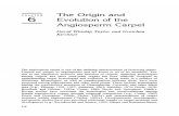 [Doi 10.1007%2F978!0!585-23095-5_6] Taylor, David Winship; Hickey, Leo J. -- Flowering Plant Origin, Evolution & Phylogeny the Origin and Evolution of the Angiosperm Carpel (1)
