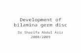 Development of Bilamina Germ Disc