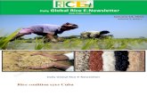 14th January,2015 Daily Global Rice E_Newsletter by Riceplus Magazine