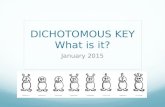 Dichotomous Keys.pptx