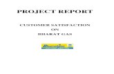 Full Final Report Bharatgas