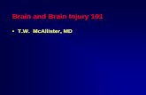 Brain Injury 101 Pp