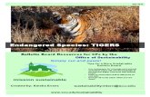 Endangered Species Tigers