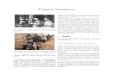 Counter-insurgency wiki.pdf