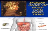 Lecture 3 Epidemiology of Intestinal Infections