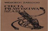 Cutting With a Real Sword - Wojciech Zablocki 1989