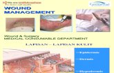 Wound Management & Wound Bed Preparation