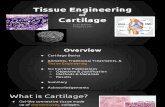 Tissue Eng. Cartilage Final Presentation (1)