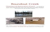 Community Creek Cleaning Project