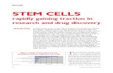Stem Cells Rapidly Gaining Traction