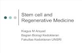 11. Stem Cell and Regenerative Medicine