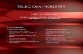 Telecom Industry - Section C.potx