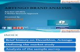 Artengo_brand_analysis(Sas Programming,Big Data Analytics)