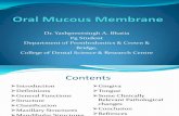 Oral Mucous Membrane - Complete Denture Patient