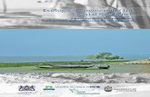 Ecological Engineering for Coastal Resilience: A Basis for Shoreline Protection, Food Security and Socioeconomic Development