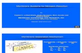 Membrane Systems for Nitrogen Rejection