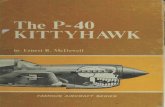 The P-40 Kittyhawk (Famous Aircraft Series).pdf