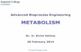 Lecture 8 Metabolism