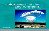 2005 Volcanoes and the Environment